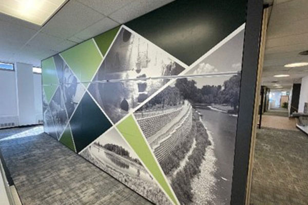 Wall murals divider wall